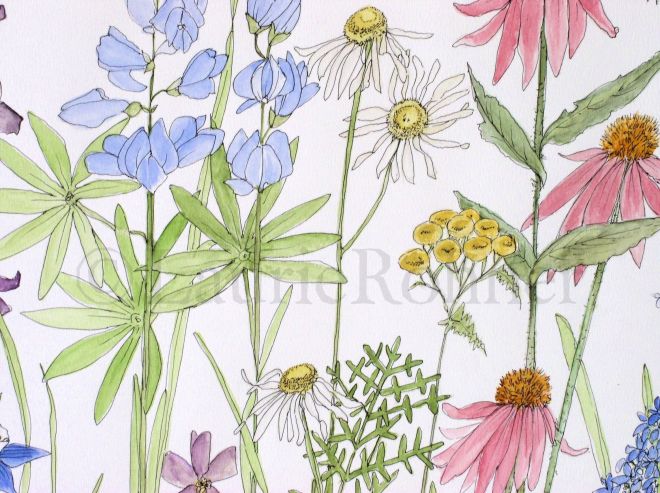 Watercolor illustration of wildflowers