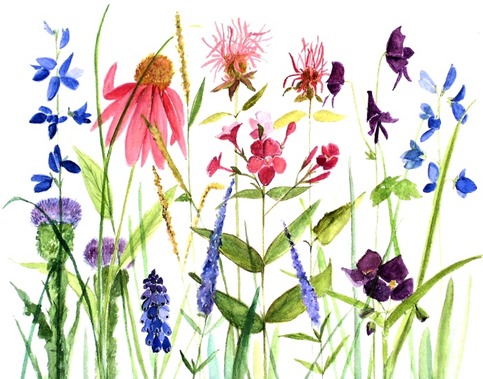 colorful garden flowers print by Laurie Rohner